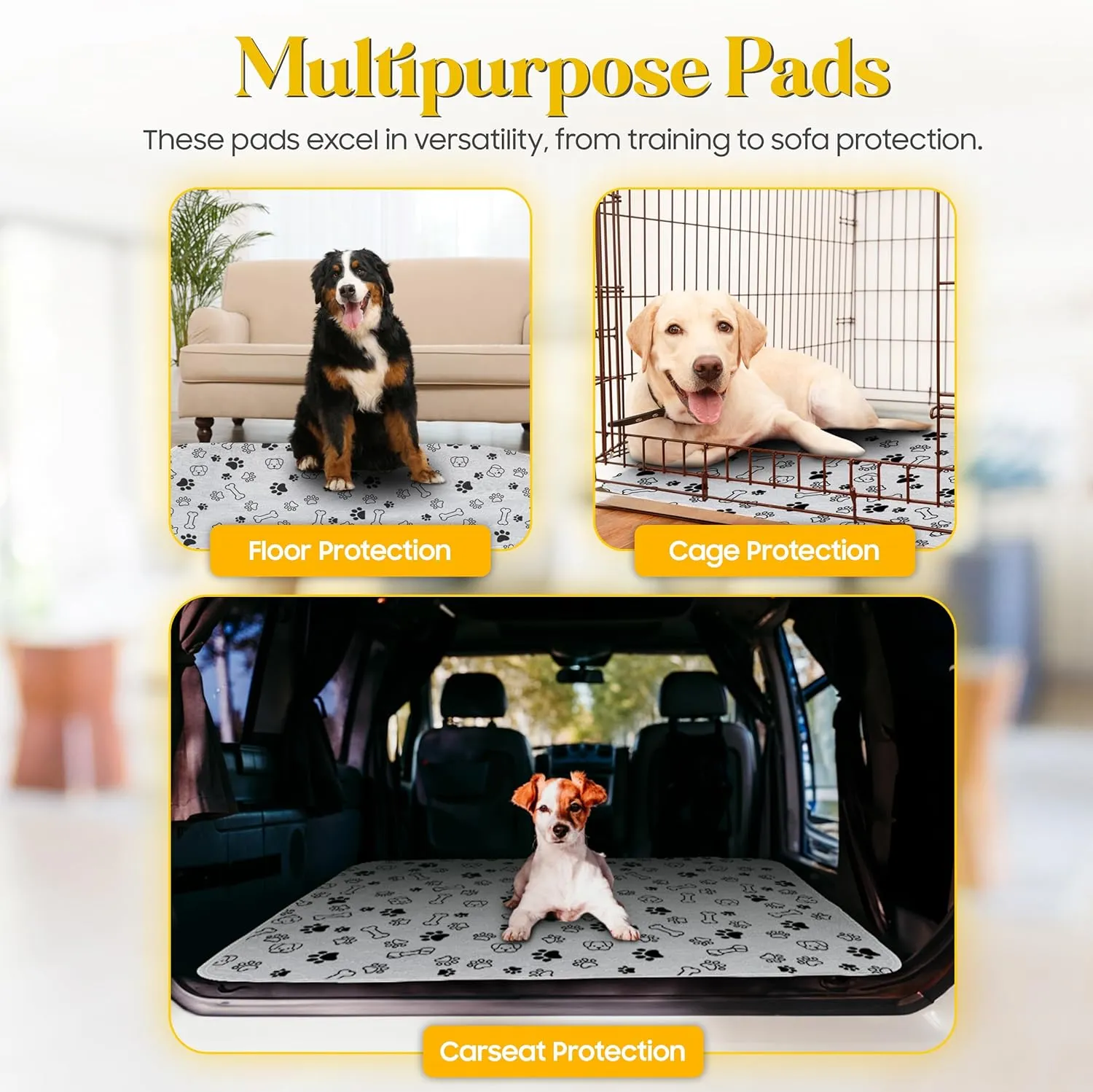 2 Pack 31x36 Washable Pee Pads for Dogs with Grooming Glove, Non-Slip Puppy Pads, Absorbent & Pleasant Endure Reusable Pee Pads for Dogs - Ideal for Pet Training & Floor Protection