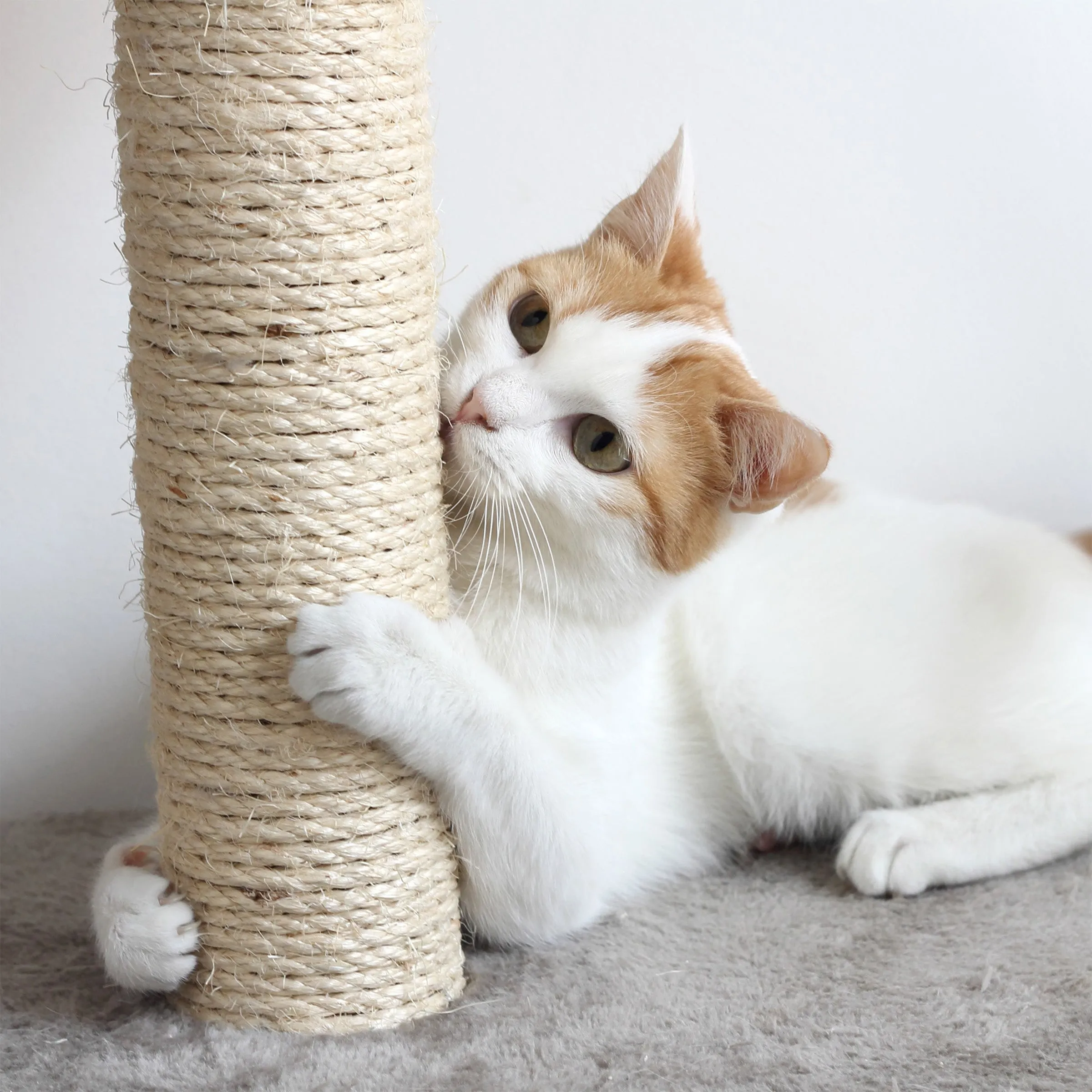3-Tier Cat Tower with Scratch Posts
