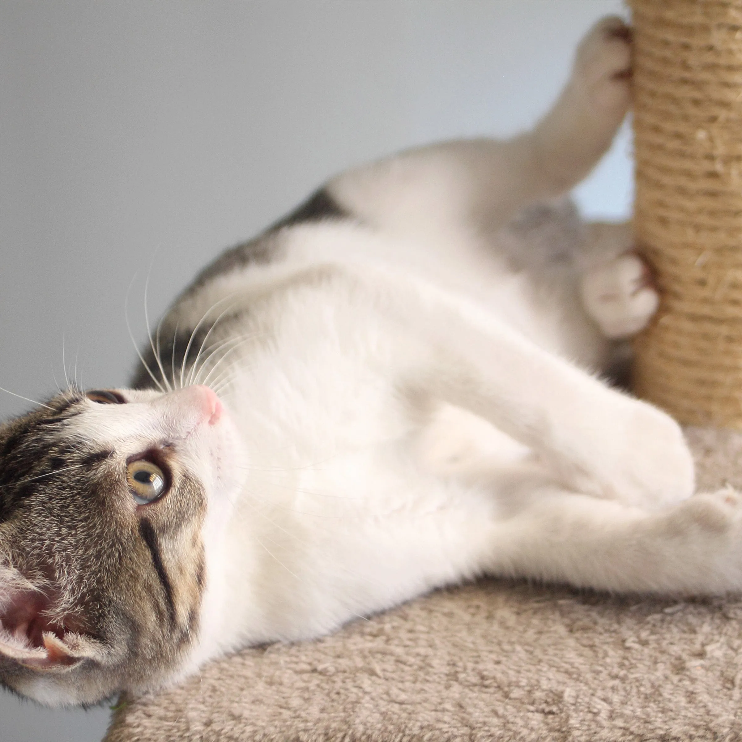 3-Tier Cat Tower with Scratch Posts