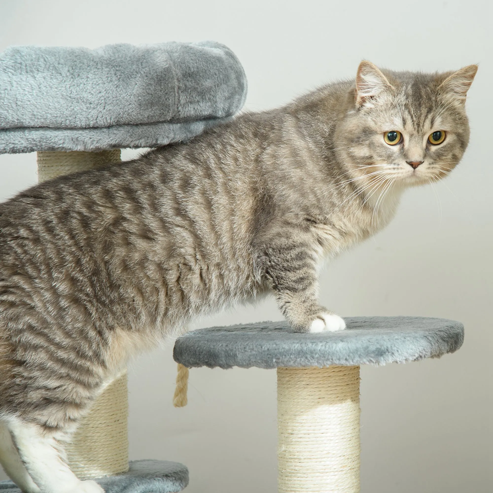 65cm Cat Tree, Cat Tower for Kittens, Small Cat Condo with Sisal Scratching Posts, Hanging Rope, Perches - Grey
