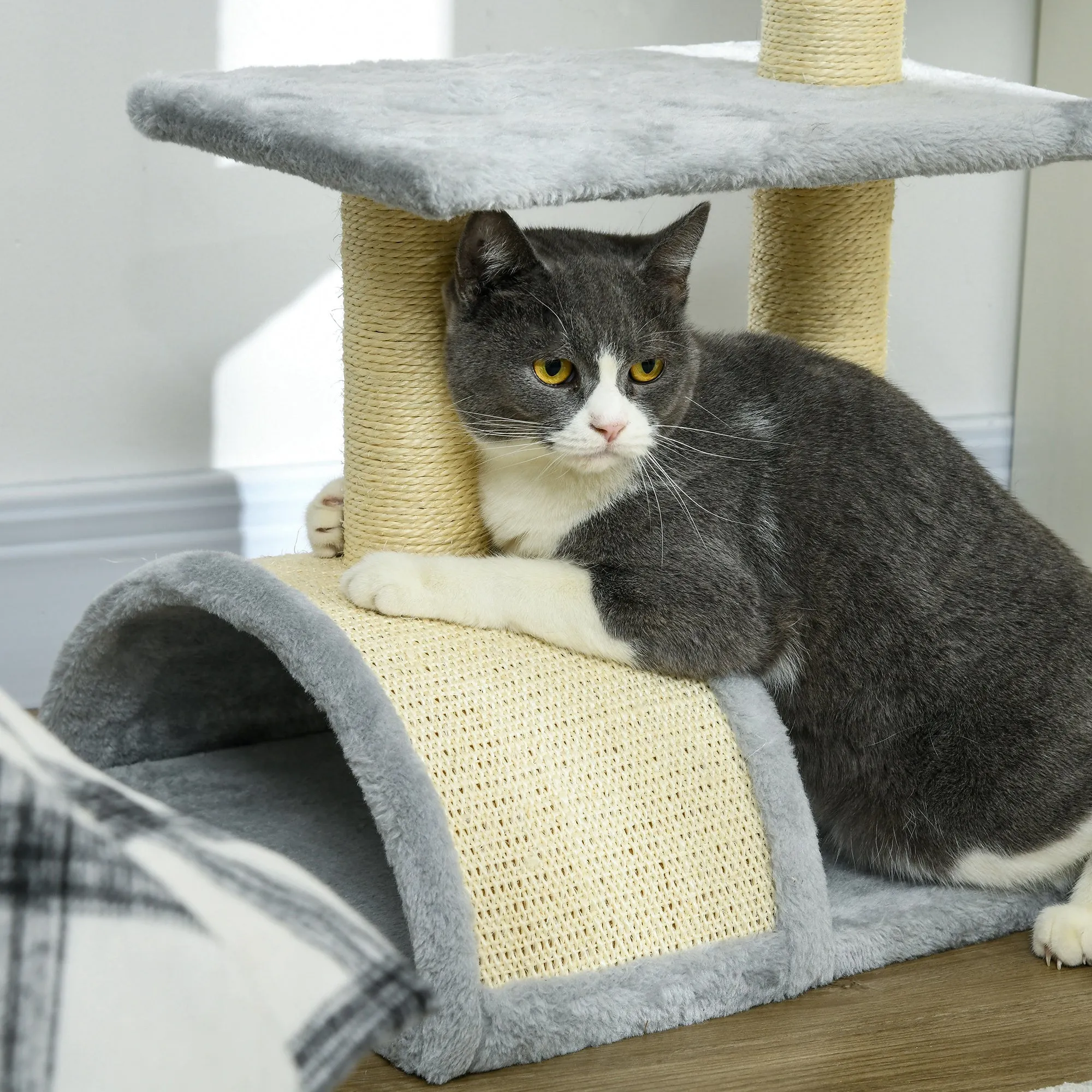 72cm Cat Tree with Scratching Post, Pad for Indoor Cats - Light Grey
