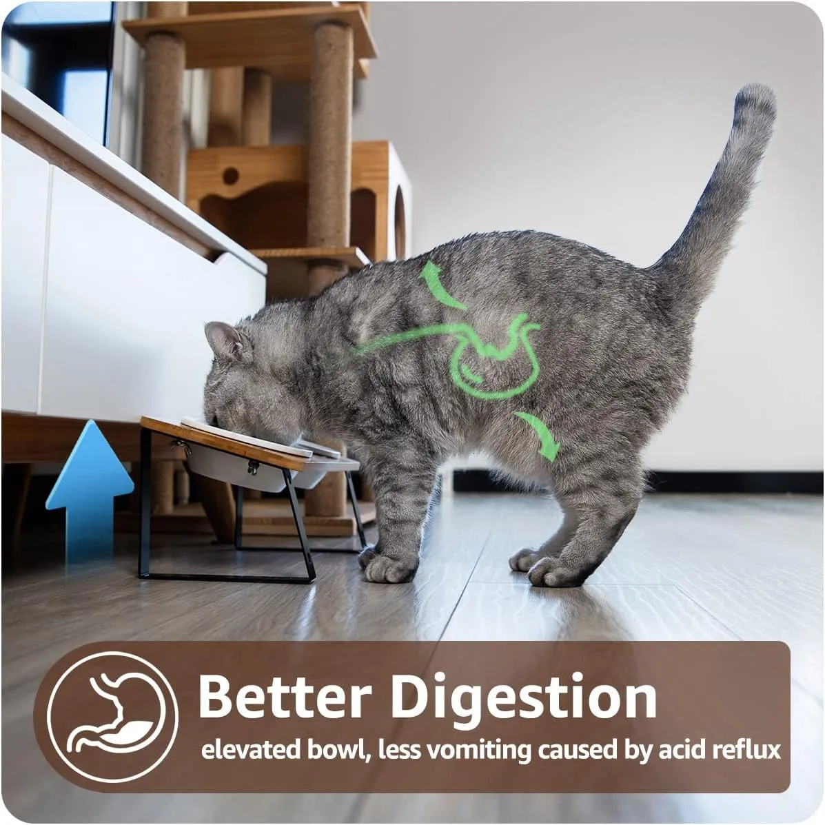 AYADA Elevated Cat Bowls, Height Adjustable Raised with Stand Lifted Ergonomic Anti Vomiting Non Slip Slanted Tilted Double Bowls Food Water Ceramic