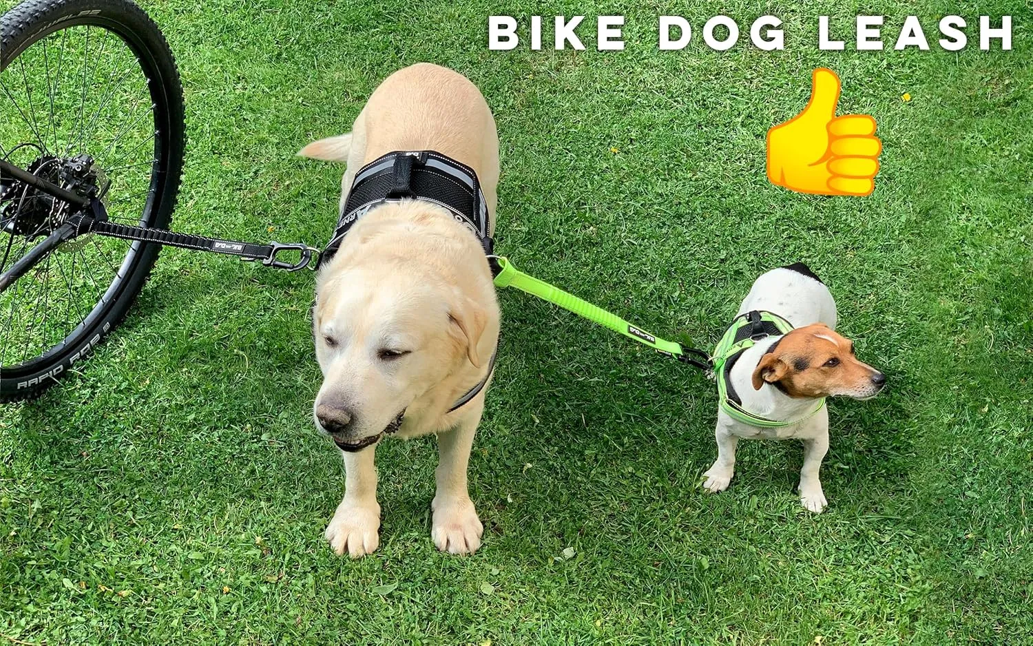 BIKE AND DOG - Dog Leash and Harness for Bicycle, Harness with 3 Rings, 2 are Sides, Includes 2 Special Cable Ties for Bicycle. Patented. (Black, Leash)