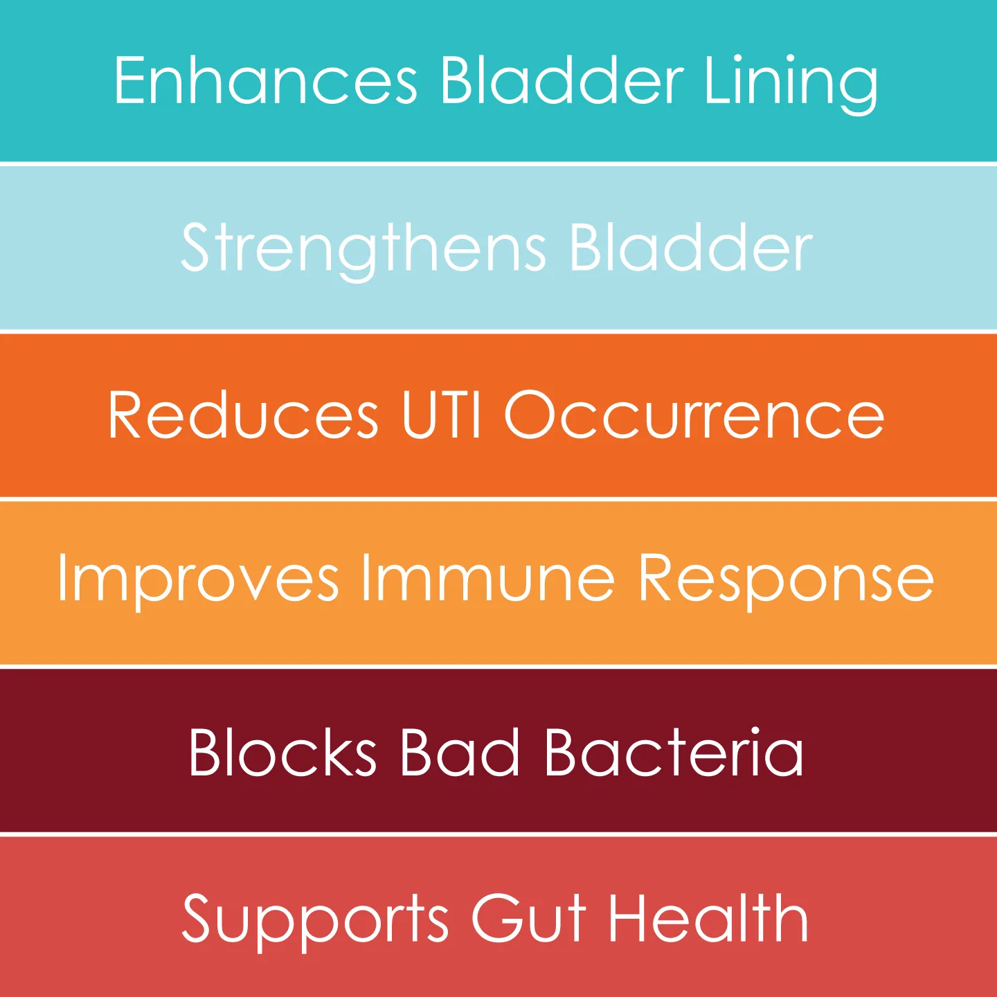 Bladder & Urinary Support Pack