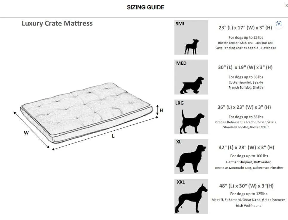 Bowsers Custom Oslo Ortho Dog Bed - Sorrento
