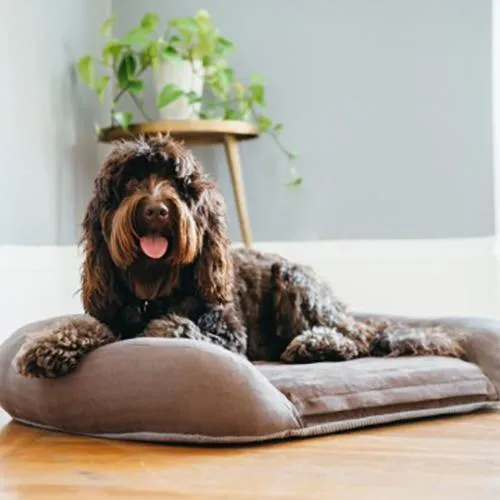 California Dreaming Memory Foam Dog Bed Big Sur Brown
