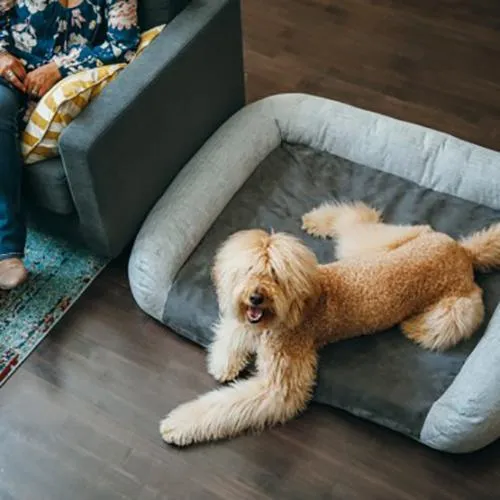 California Dreaming Memory Foam Dog Bed Fog Grey