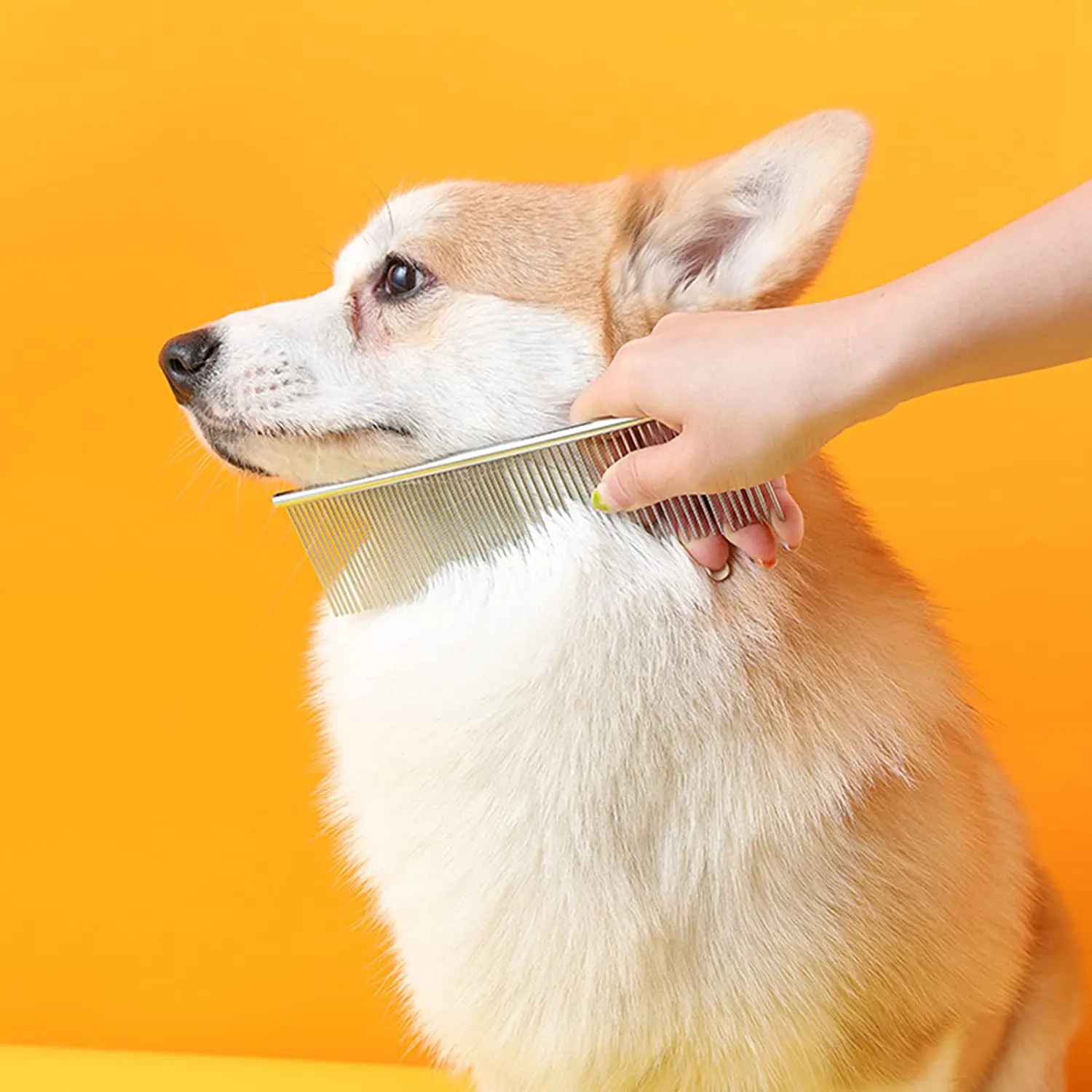 Grooming Steel Long Comb for Cats and Dogs