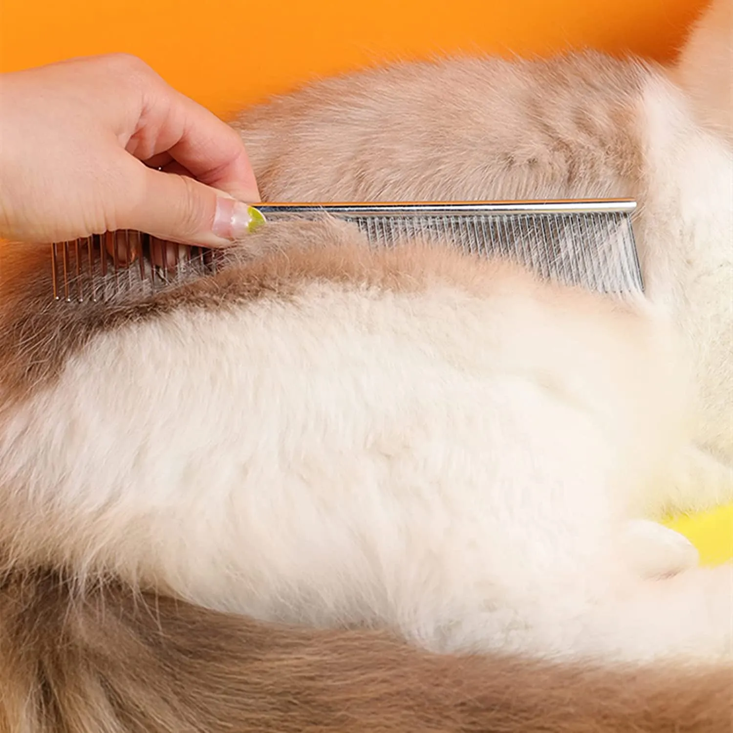 Grooming Steel Long Comb for Cats and Dogs