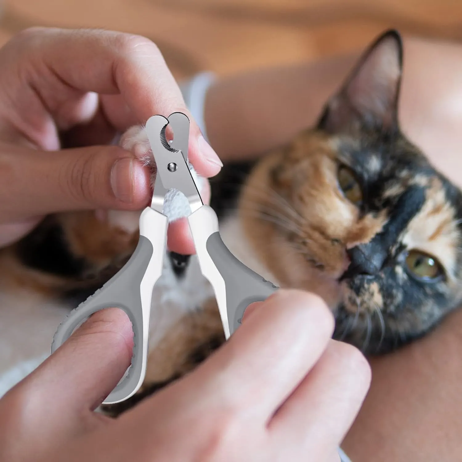 High-Quality Cat Nail Clipper - Ergonomic & Safe, Ideal for Kittens, Puppies, Birds, and Small Animals