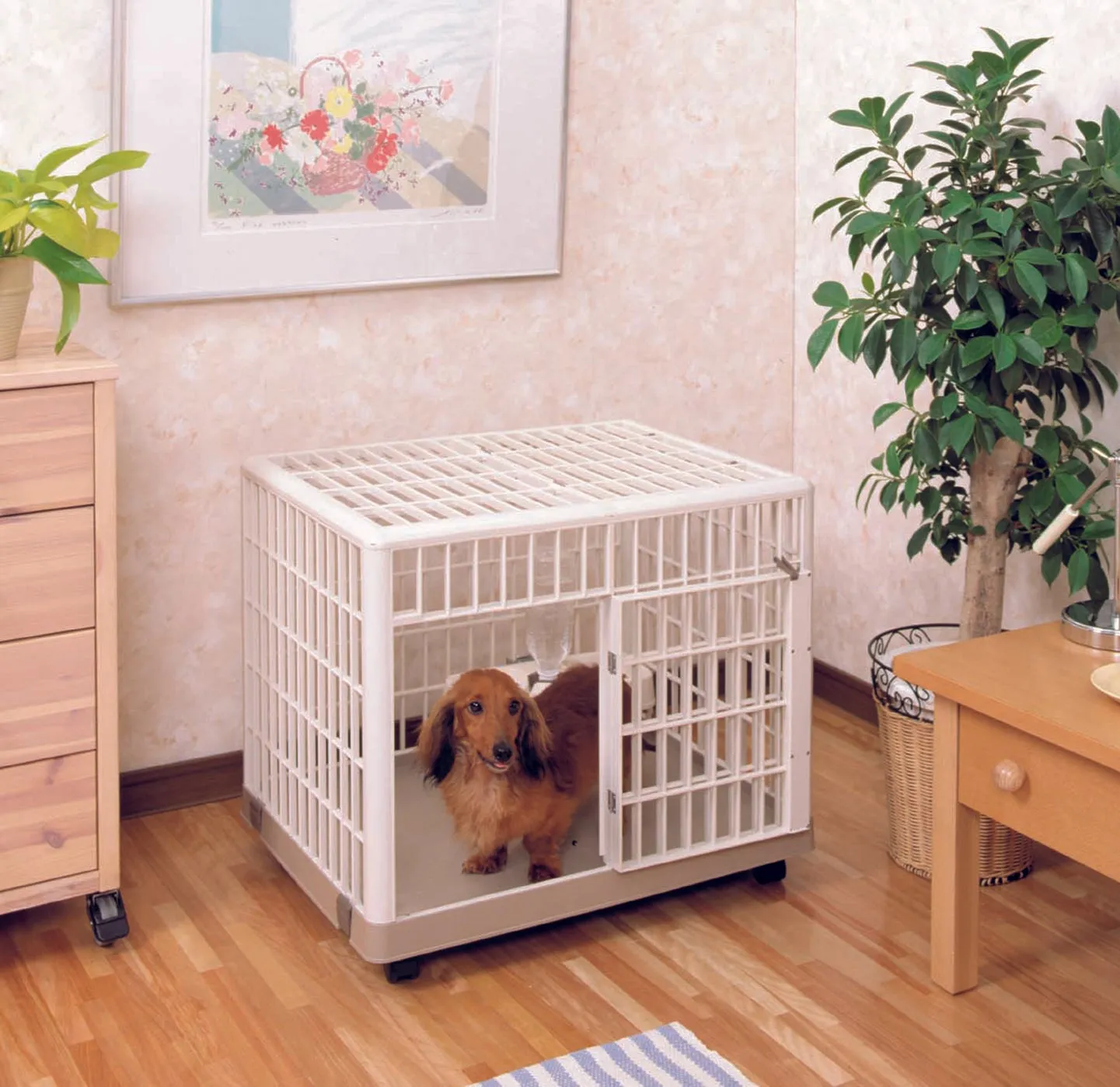 Iris Pet Cage 660