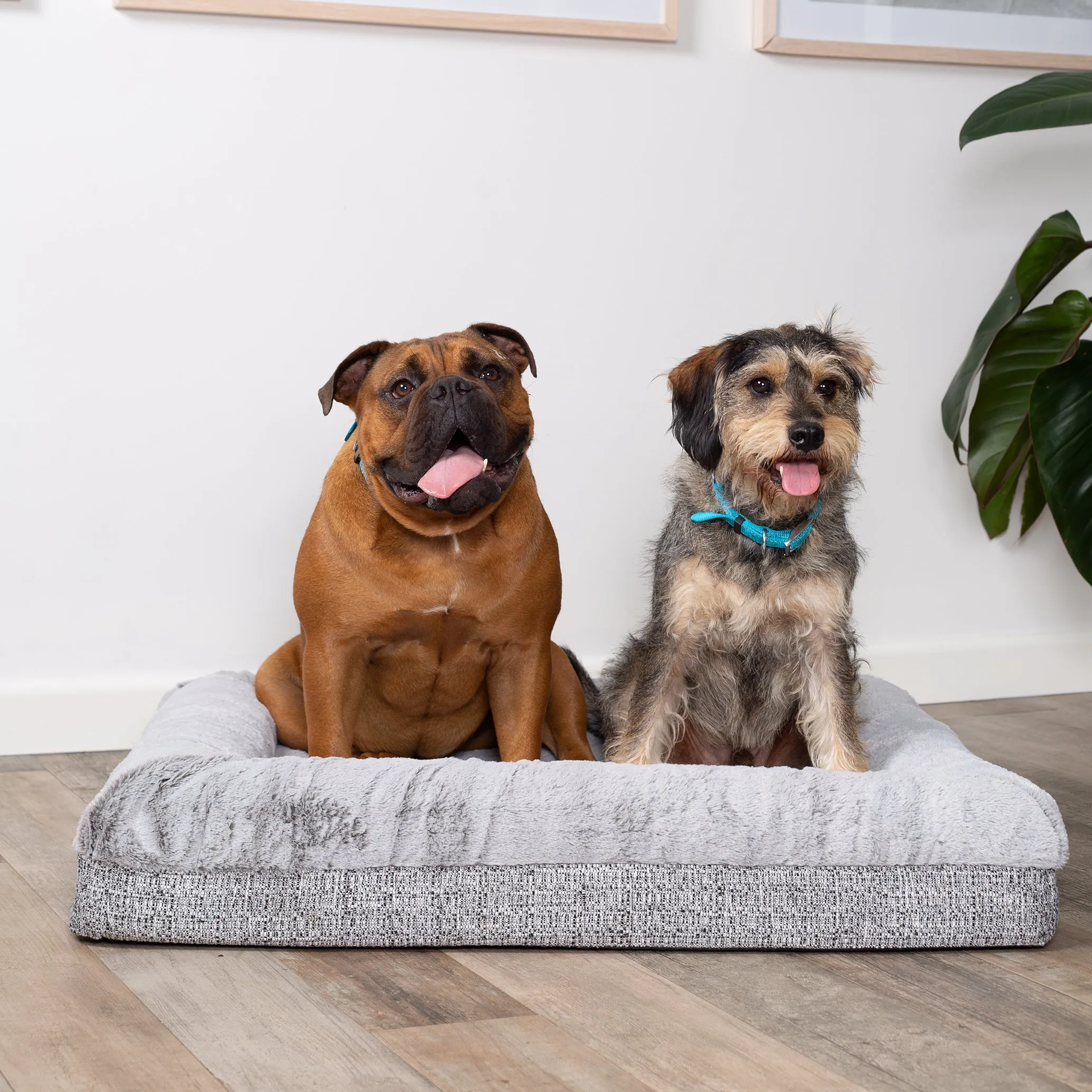 Kazoo Wombat Extra Large Plush Grey Dog Bed^^^