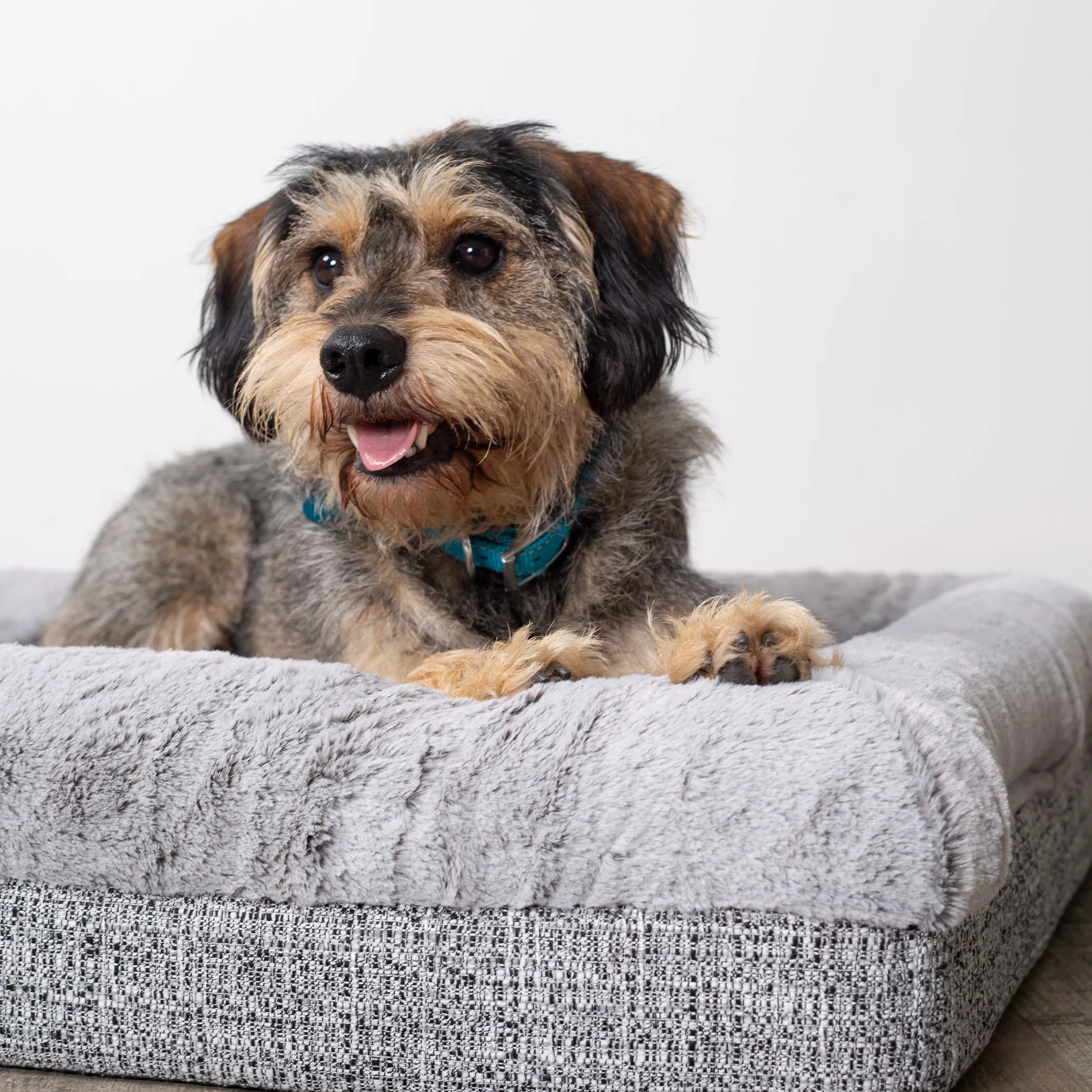 Kazoo Wombat Extra Large Plush Grey Dog Bed^^^