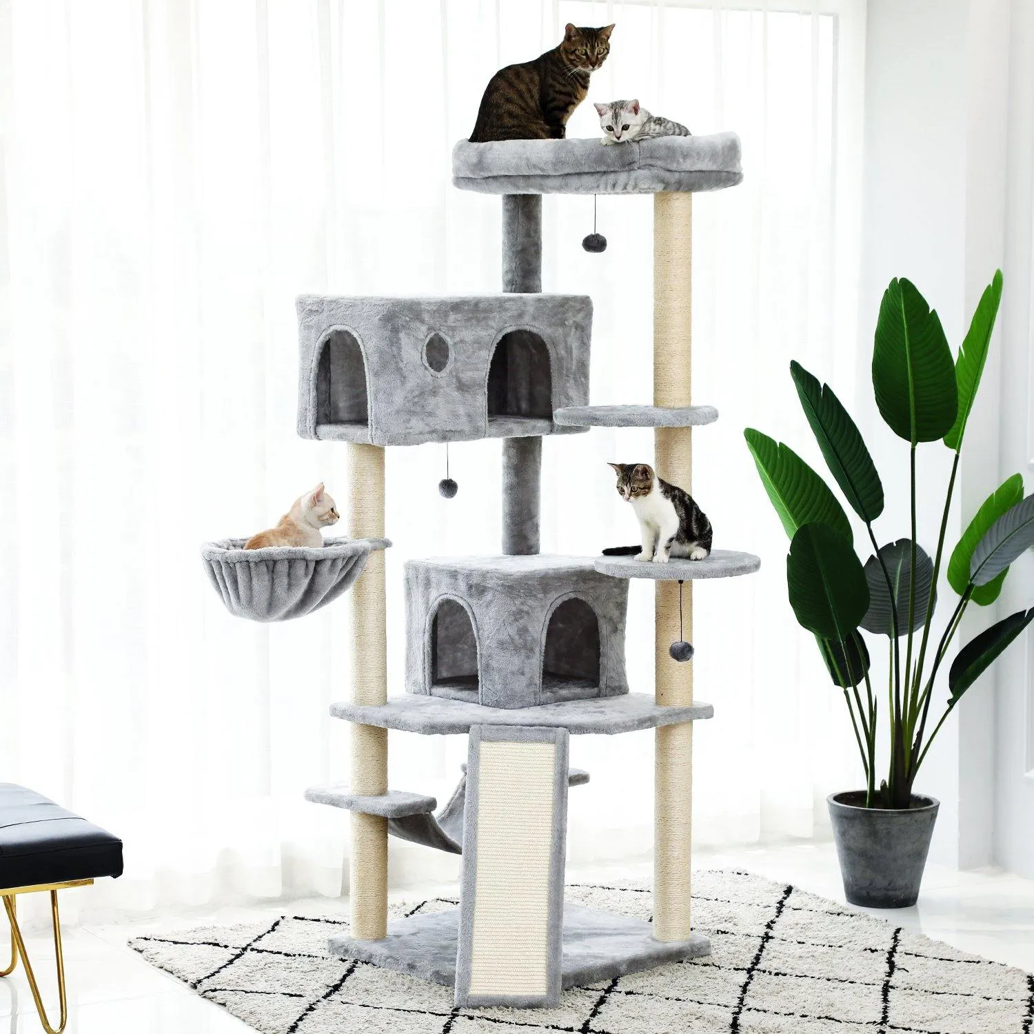 Large Grey Cat Scratching Post