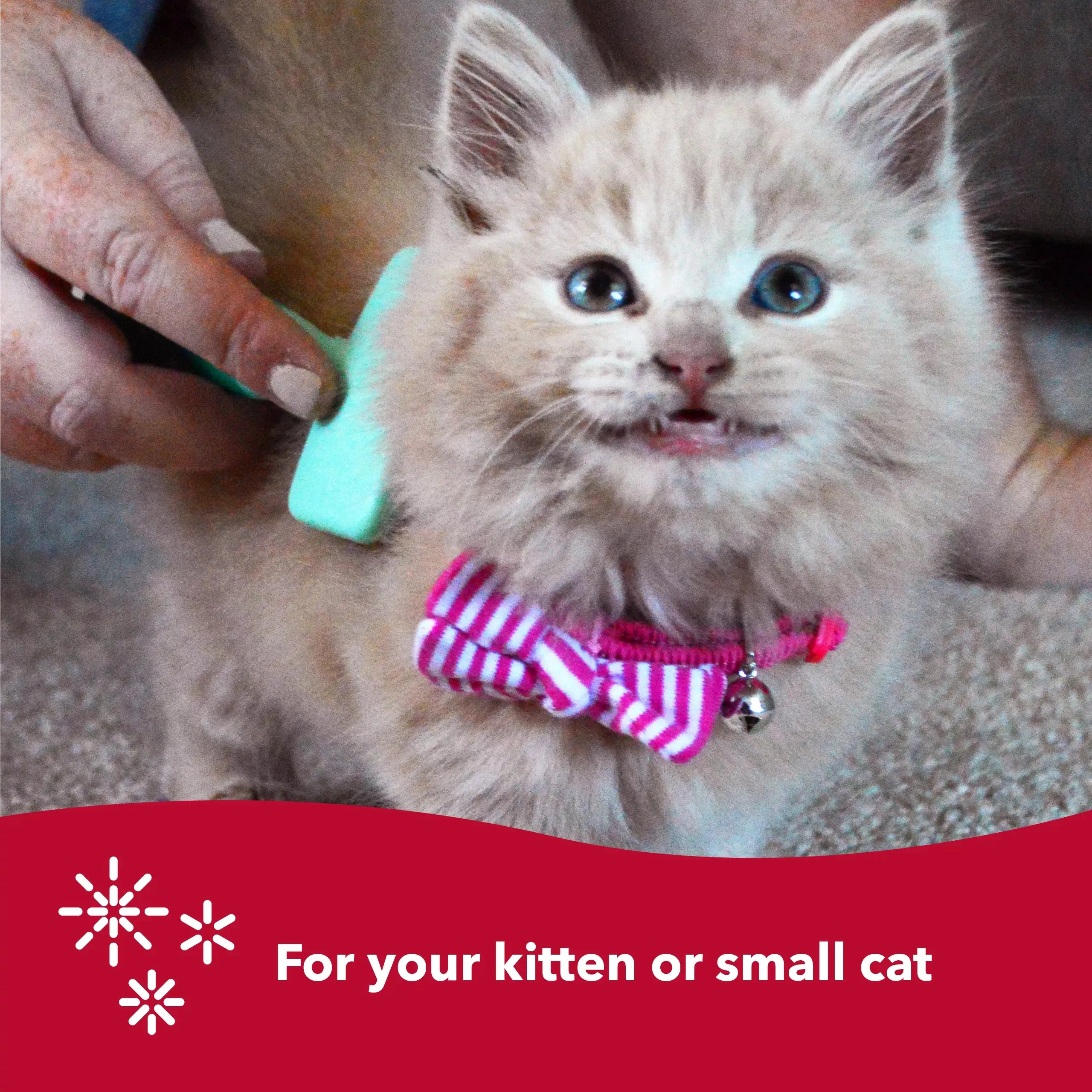 Li'l Pals Kitten Slicker Brush w/Coated Tips