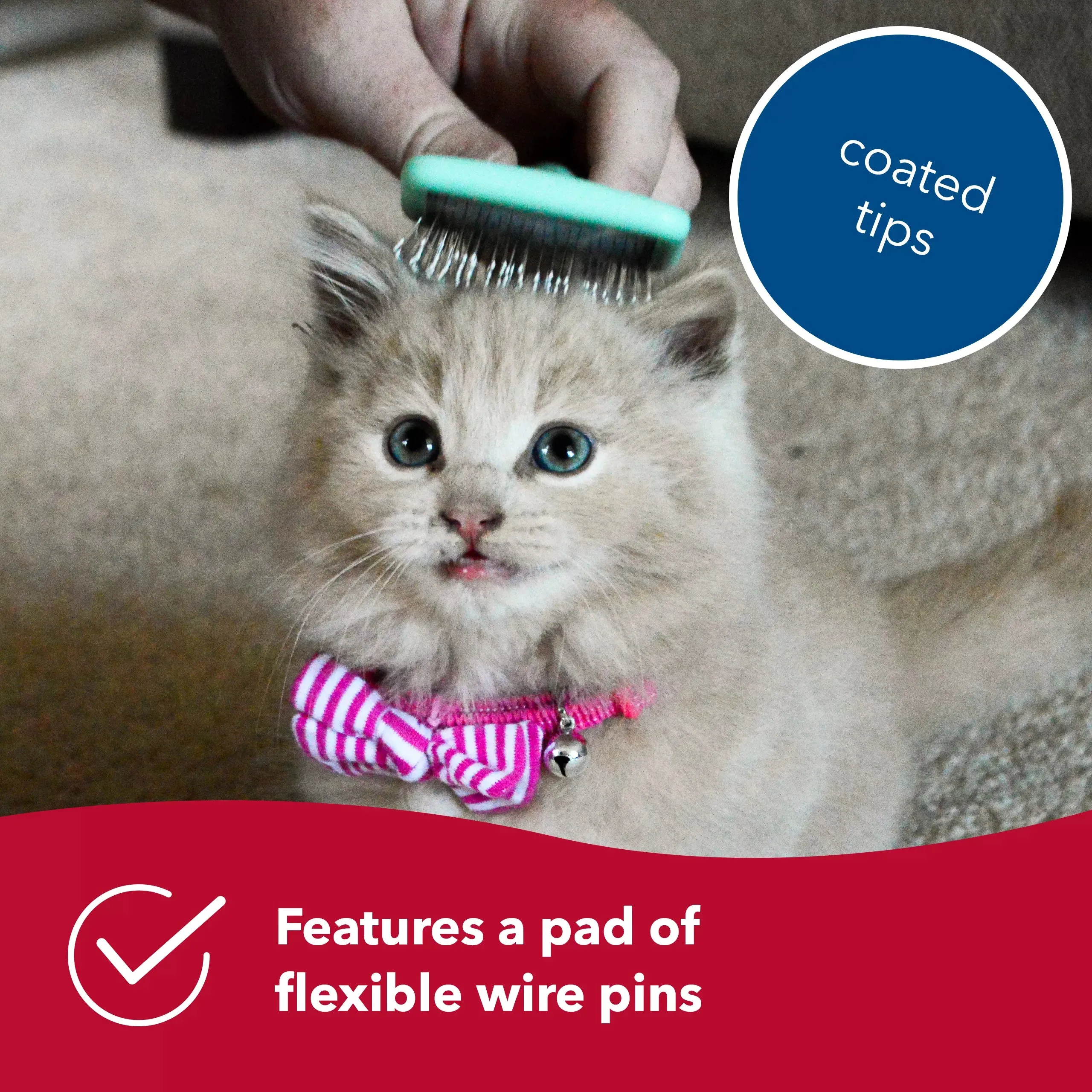 Li'l Pals Kitten Slicker Brush w/Coated Tips