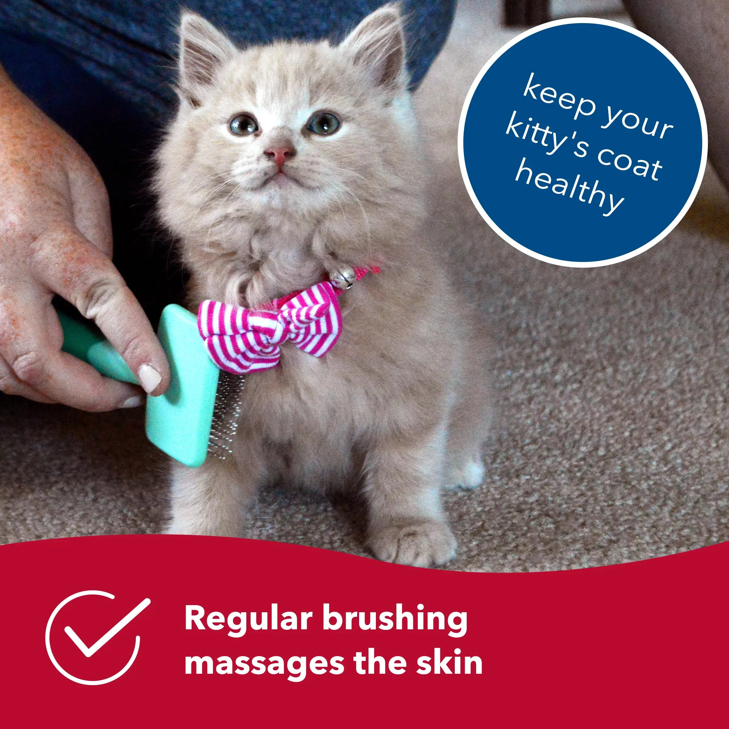 Li'l Pals Kitten Slicker Brush w/Coated Tips