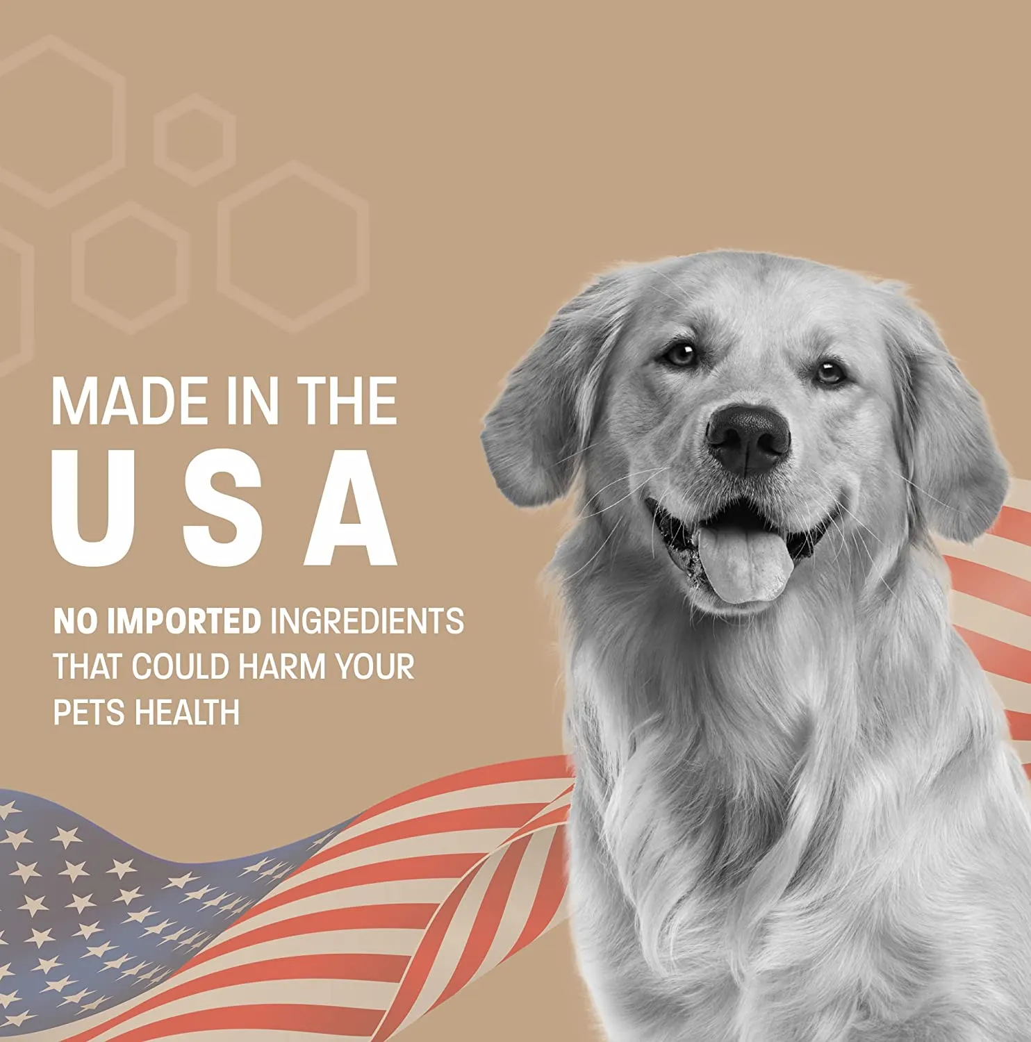 Omega 3 Fish Oil for Dogs - Skin & Coat Supplement