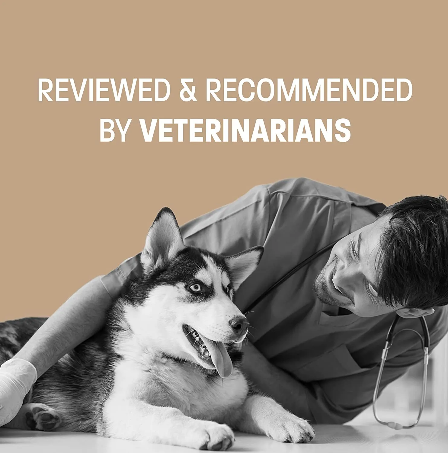 Omega 3 Fish Oil for Dogs - Skin & Coat Supplement