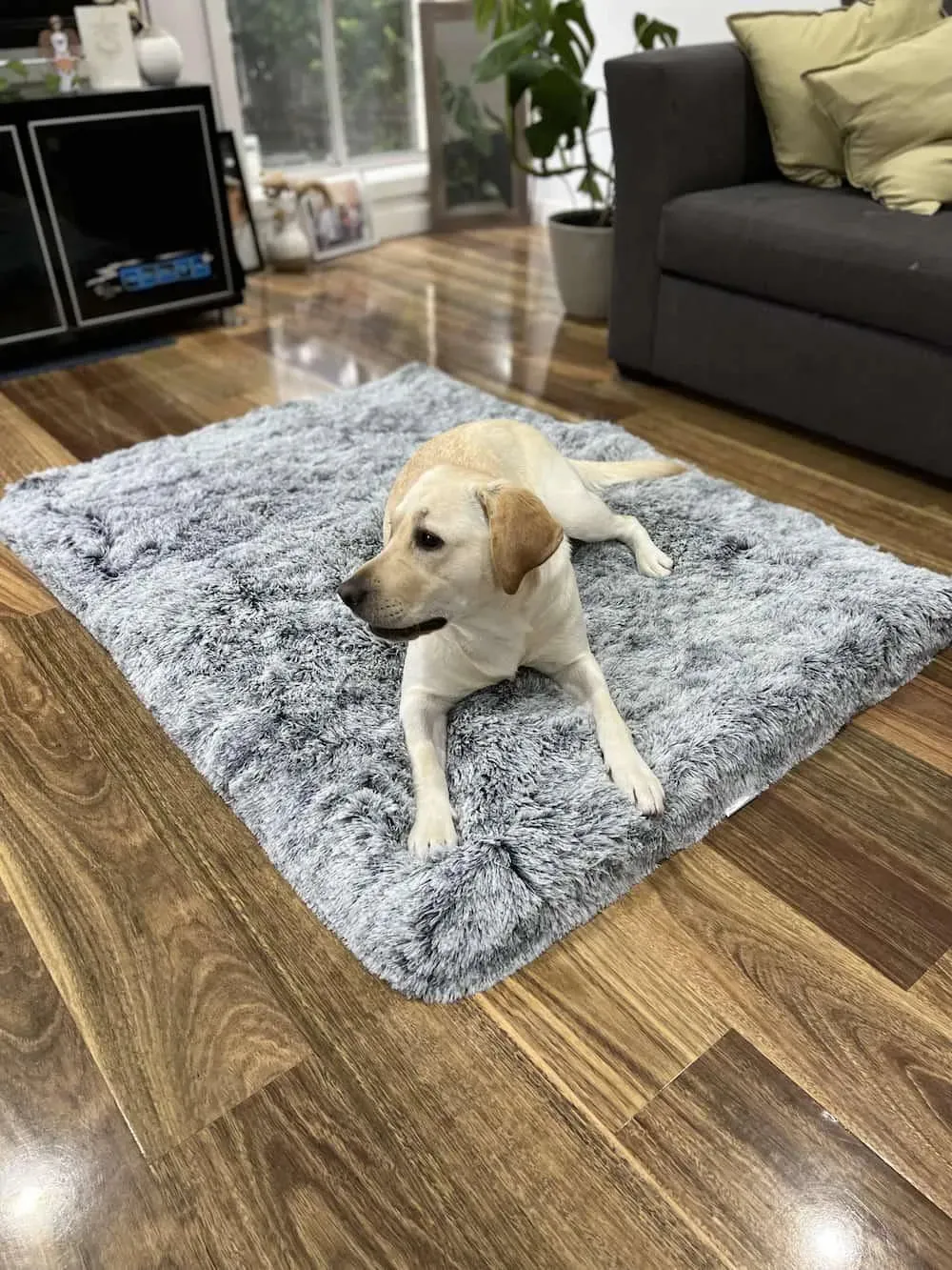 PaWz Premium SuperMat Calming Bed Memory Foam Dog Mat