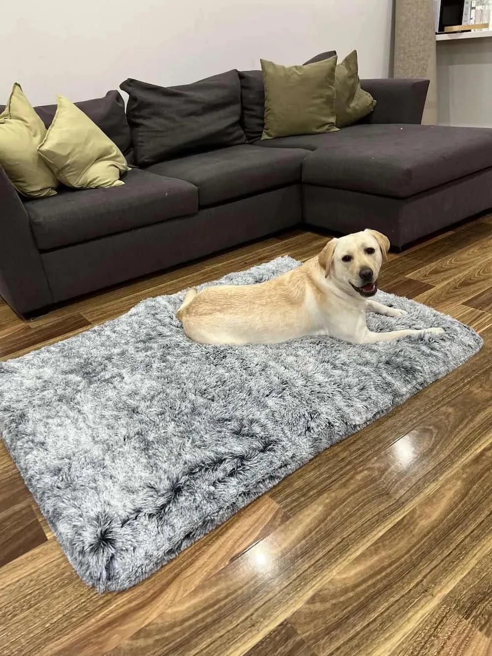 PaWz Premium SuperMat Calming Bed Memory Foam Dog Mat