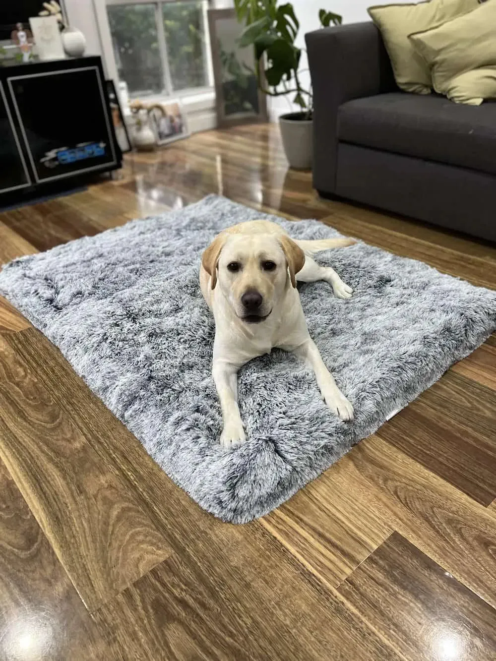 PaWz Premium SuperMat Calming Bed Memory Foam Dog Mat