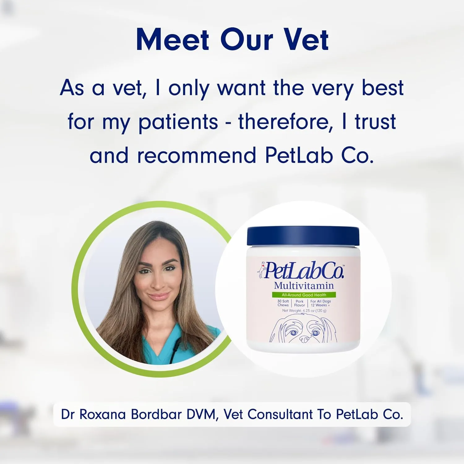 PetLab Co. 22 in 1 Dog Multivitamin - Support Dog's Immune Response, Skin, Coat, Joints & Overall Health - Vitamins A, E, D, B12, Minerals, Antioxidants - Chewable Pork Flavor