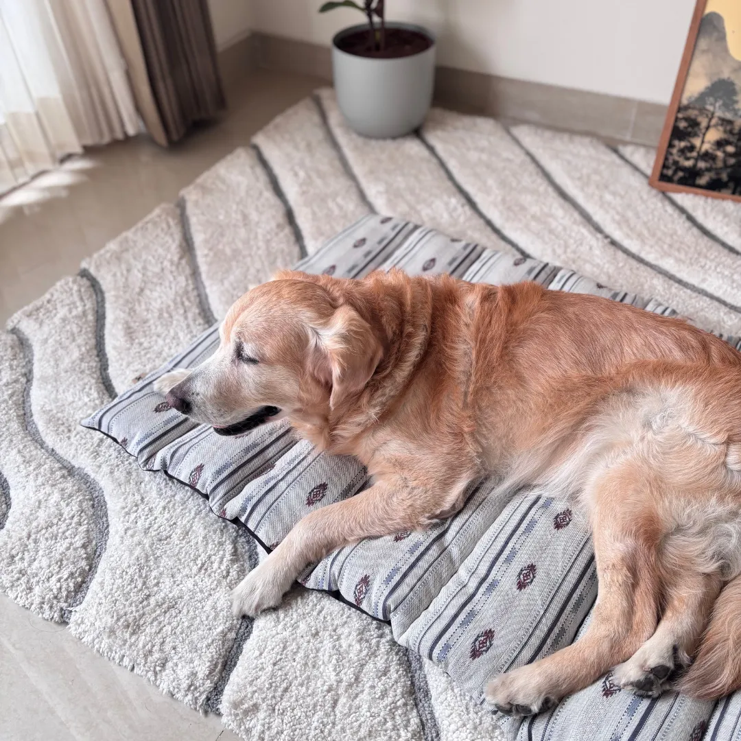 PoochMate Jacquard Cotton Panel Quilted Dog Mat - Large