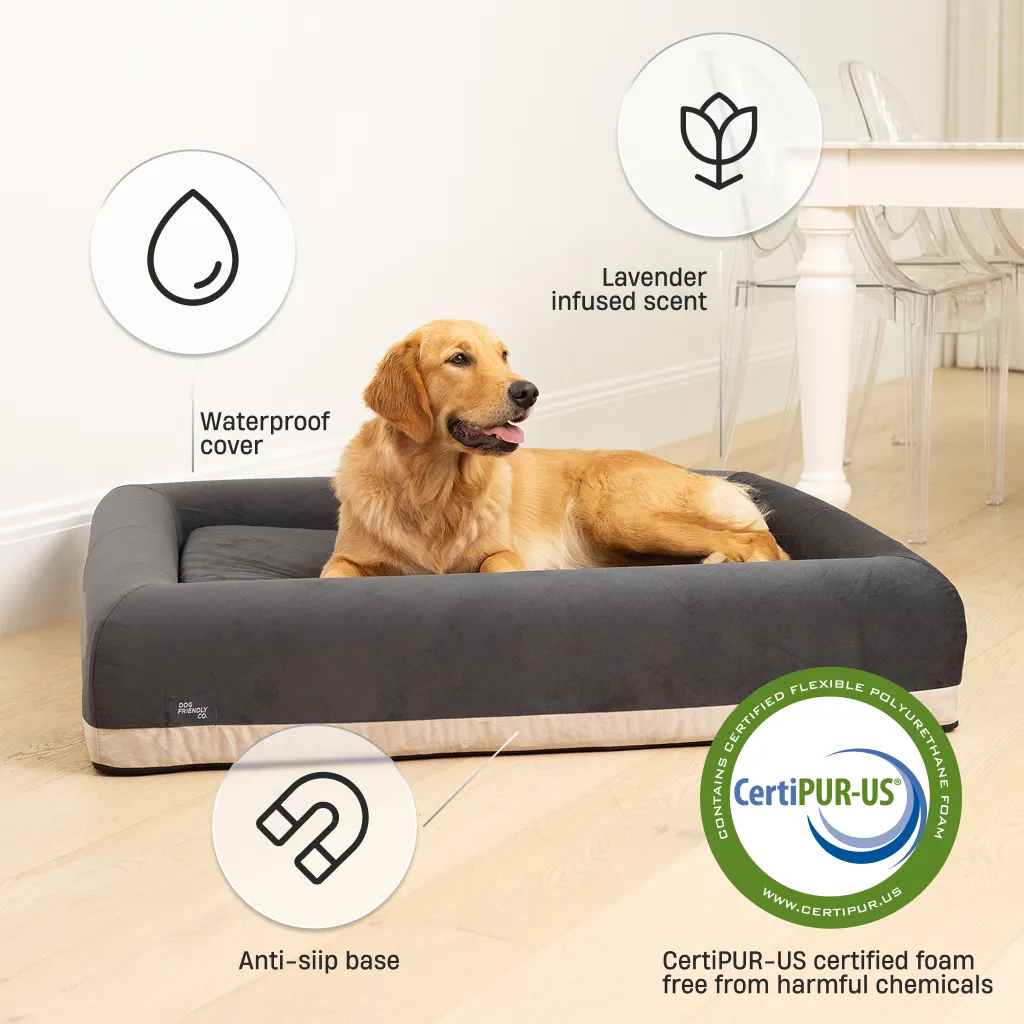 Premium Orthopedic Memory Foam Dog Bed - Charcoal (Medium)