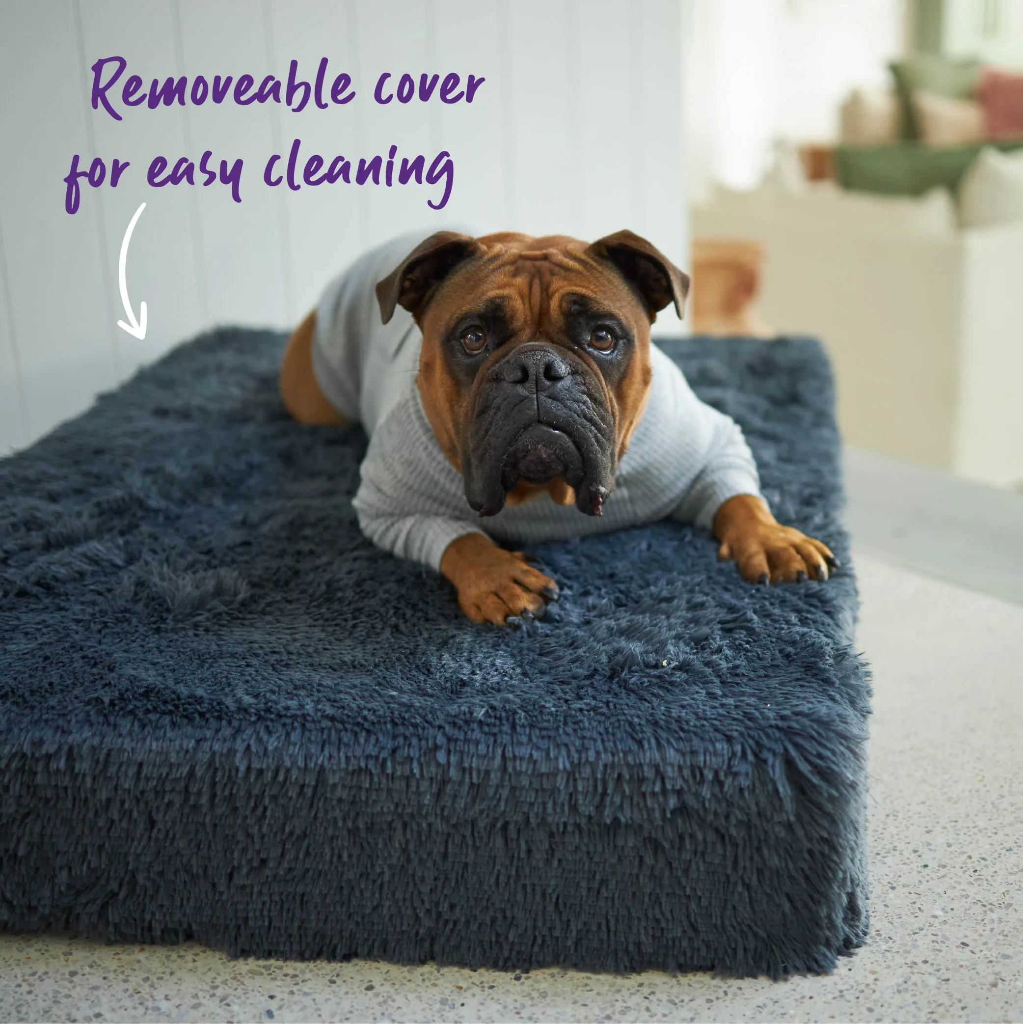 Slumber Dog Bed - Plush Cloudy Grey