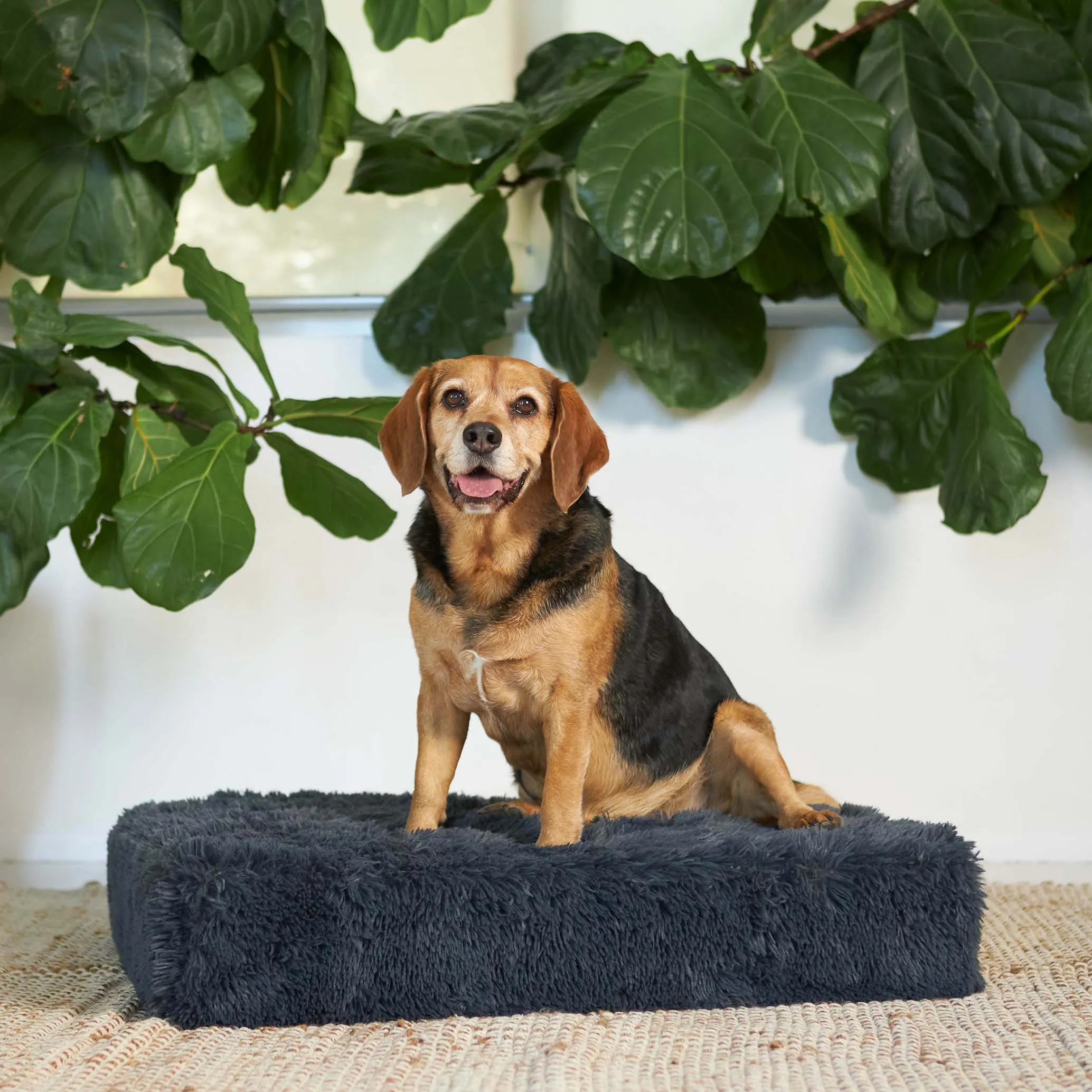 Slumber Dog Bed - Plush Cloudy Grey