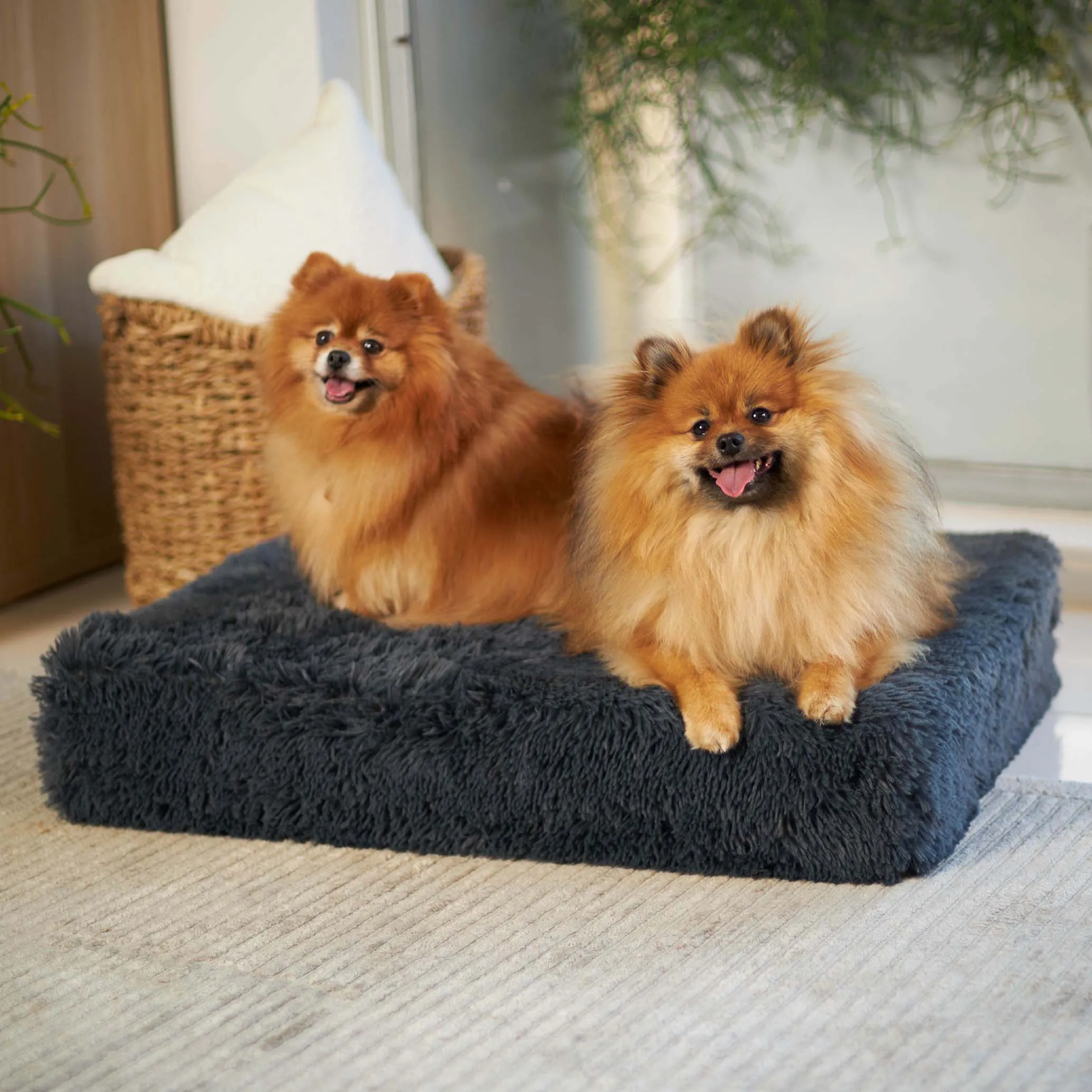 Slumber Dog Bed - Plush Cloudy Grey