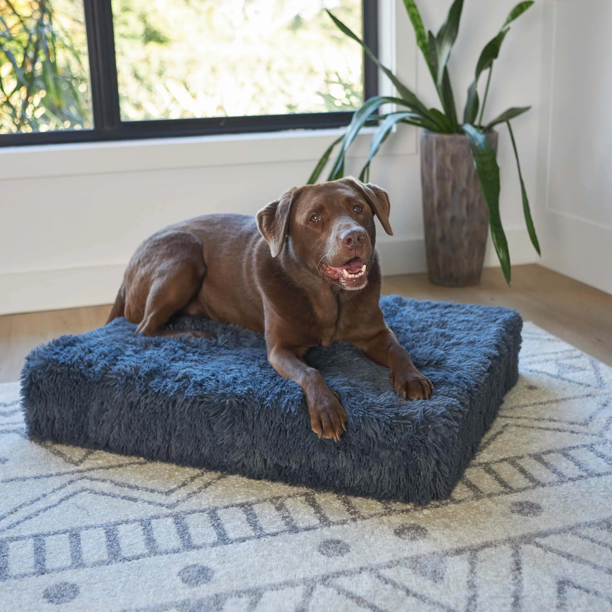 Slumber Dog Bed - Plush Cloudy Grey