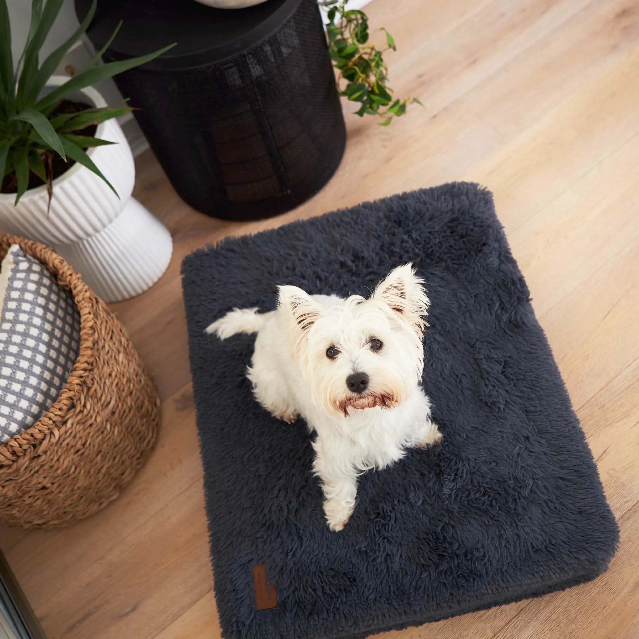 Slumber Dog Bed - Plush Cloudy Grey