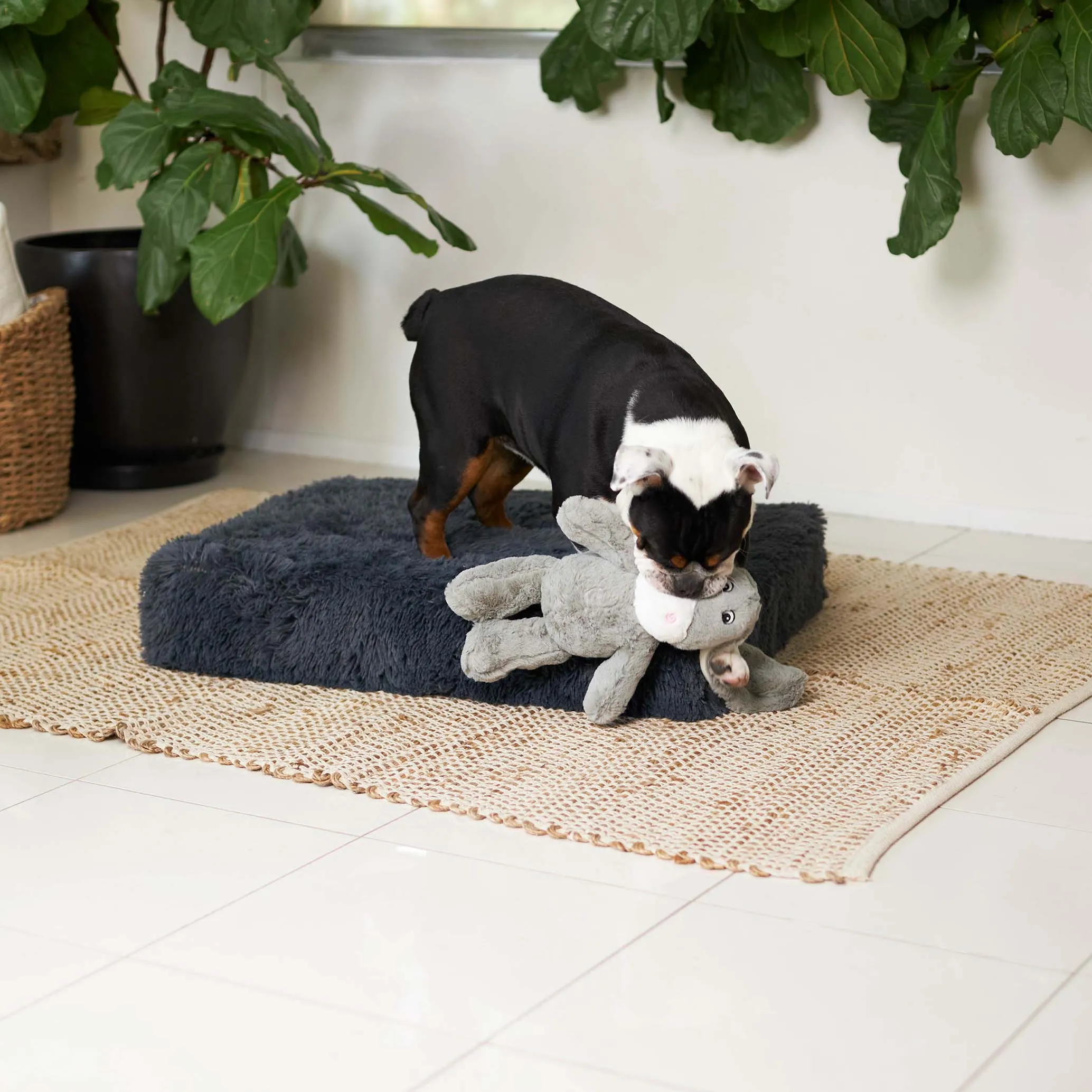 Slumber Dog Bed - Plush Cloudy Grey