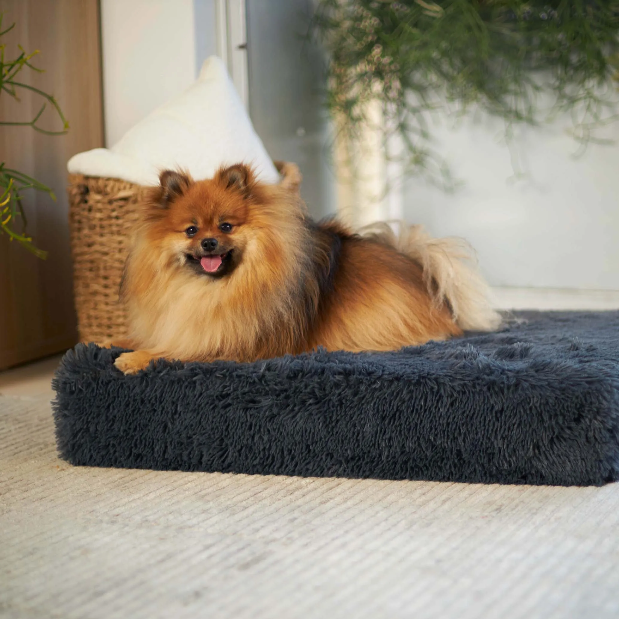 Slumber Dog Bed - Plush Cloudy Grey