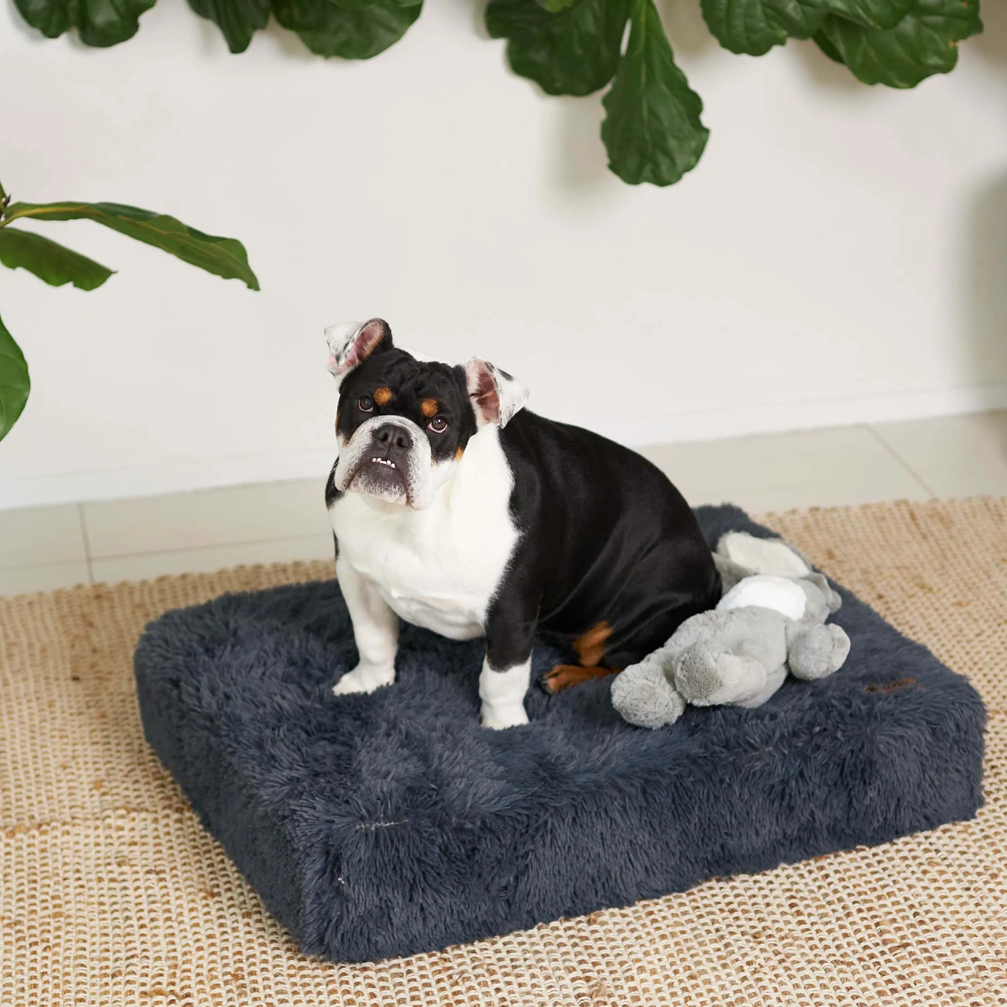 Slumber Dog Bed - Plush Cloudy Grey