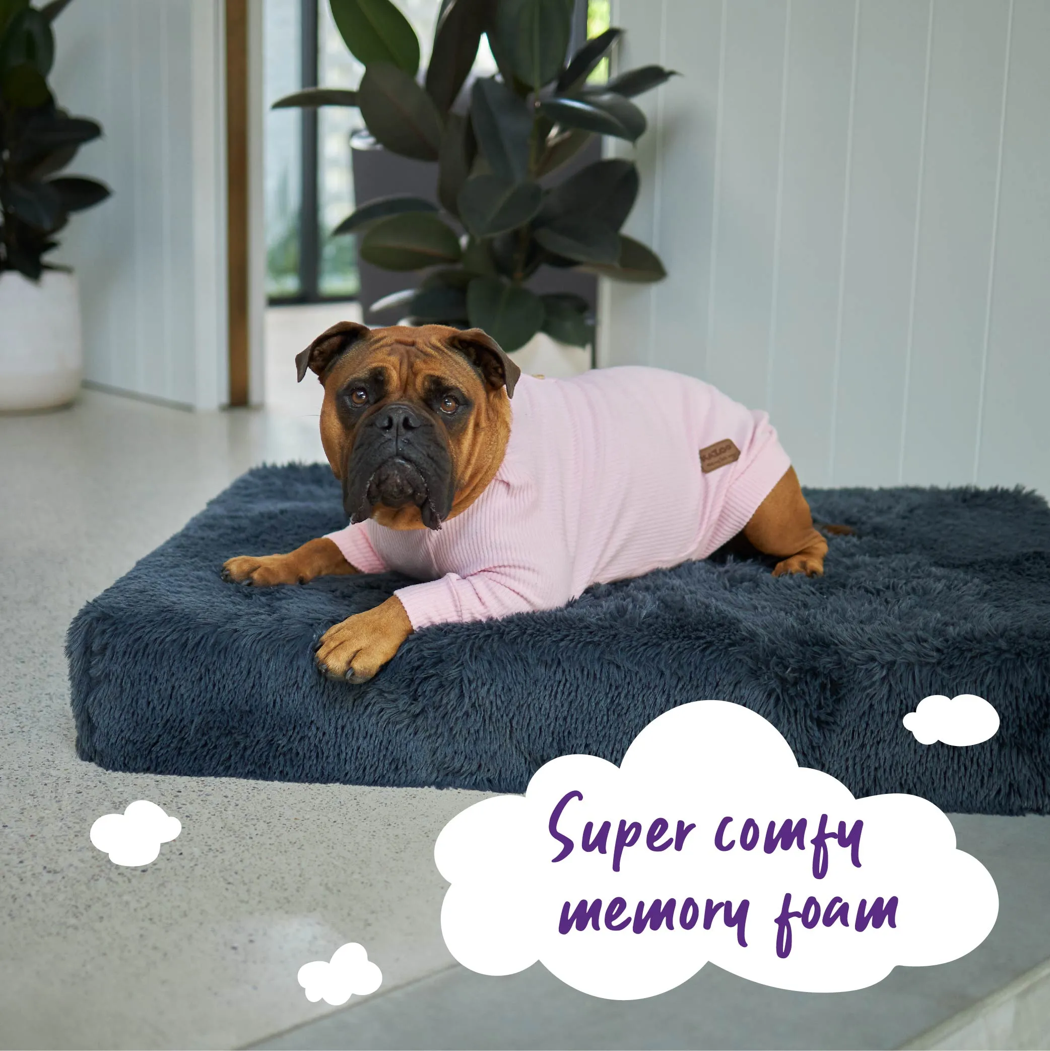 Slumber Dog Bed - Plush Cloudy Grey