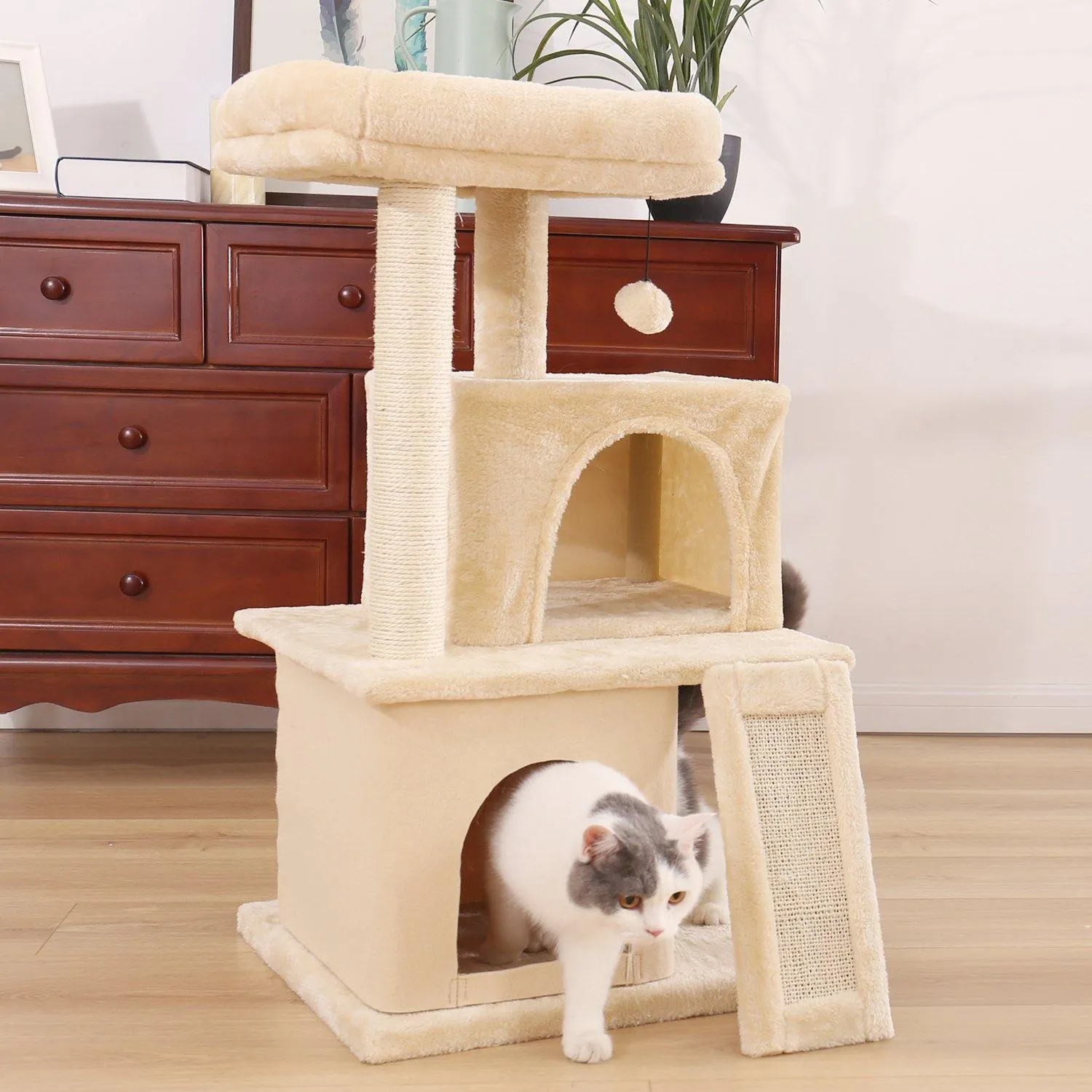 Small Cat Condo