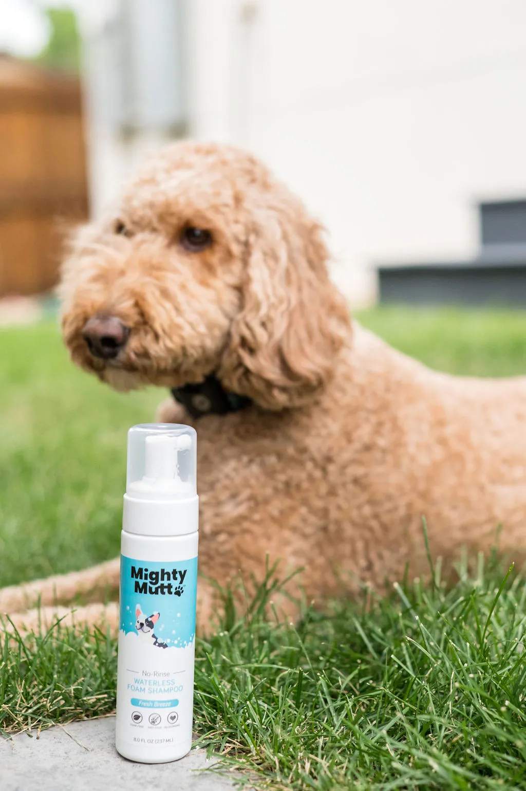 Waterless Foam Pet Shampoo